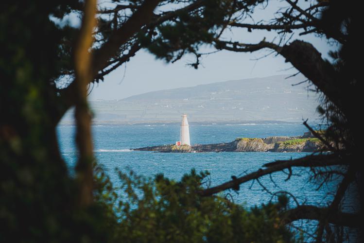 Вид на маяк через деревья