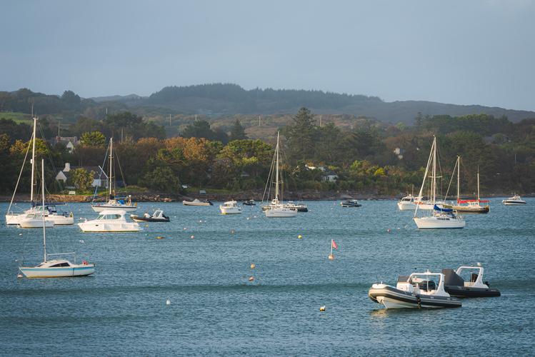 Гавань с парусными лодками