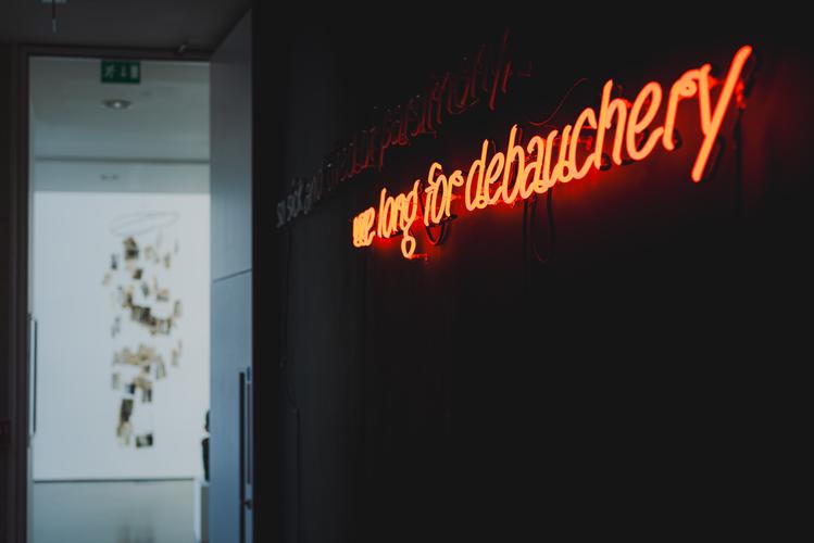 Неоновая надпись we long for debauchery