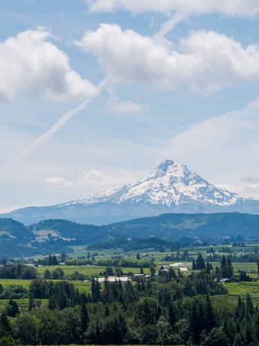 Вид на гору Худ