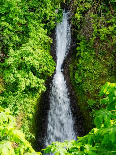 Водопад среди яркой зелени