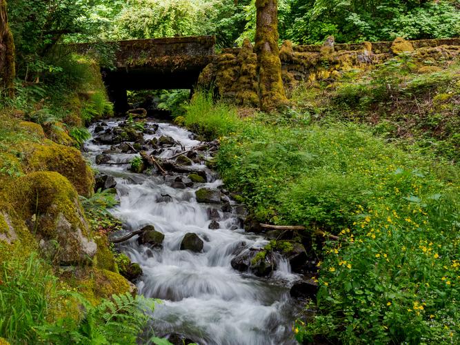 Пороги горного ручья