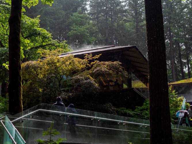 Дождь в Японском саду