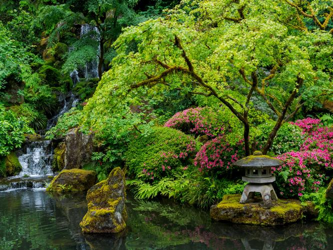 Деревья и цветы отражаются в озере