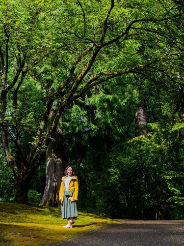 Деревья в Японском саду