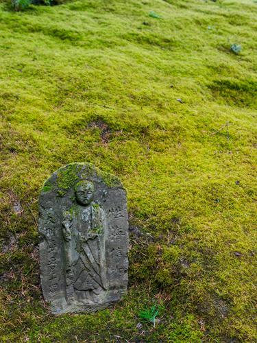 Камень с рельефом на фоне зеленого мха