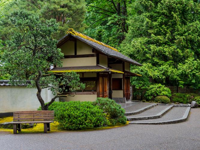 Здание в японском стиле среди зелени