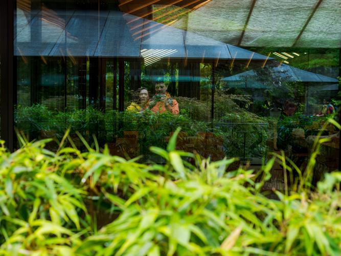 Отражение-автопортрет в стекле