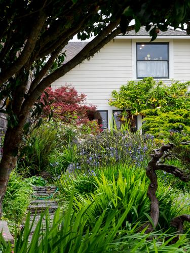 Фрагмент дома в Мендосино