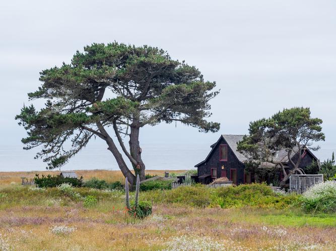 Дом в Мендосино с деревом