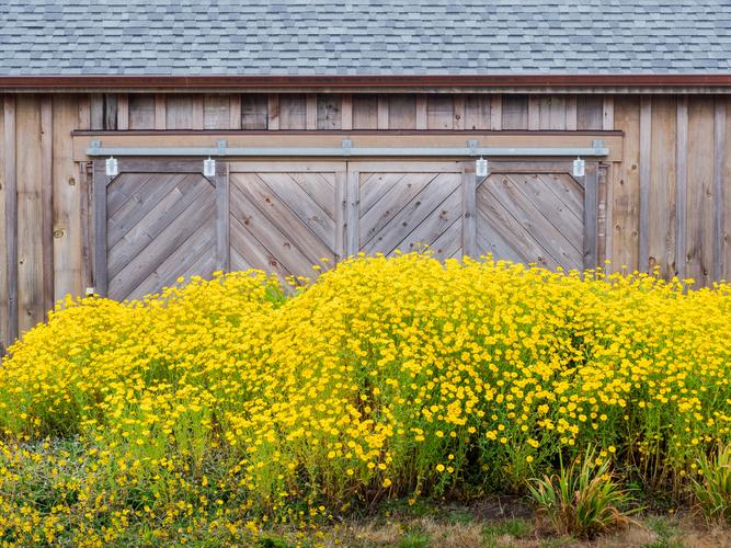 Деревянные ворота с желтыми цветами