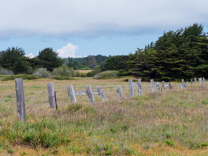 Leaning fence Leaning fence