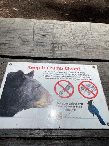 Табличка с правилами безопасности для защиты от медведей