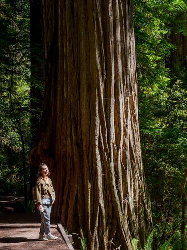 Девушка в лучах солнца в лесу