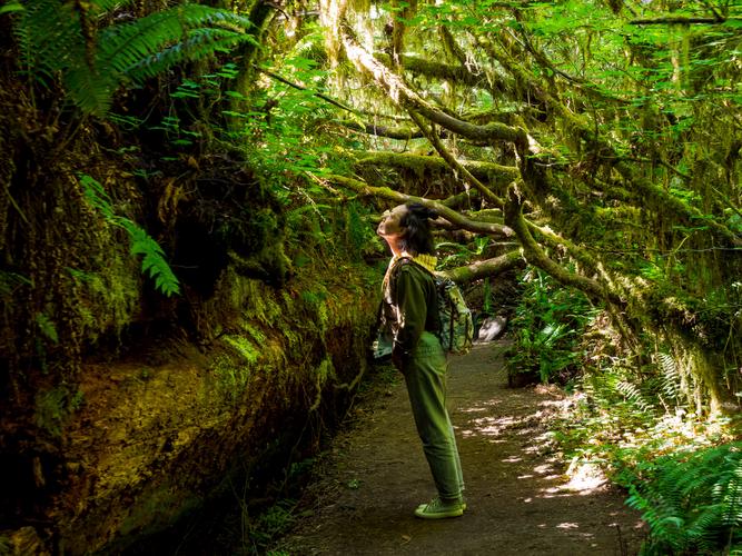 Девушка в лесу смотрит на солнце