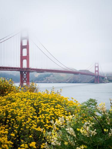 Мост Золотые Ворота в тумане