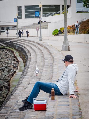 Человек сидити на набережной в Сан-Франциско