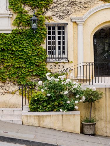 Фасад дома с цветами напротив