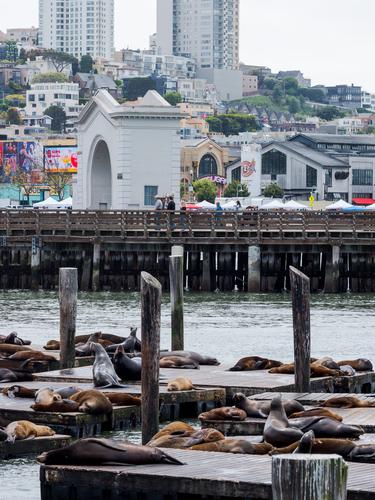 Вид на Сан-Франциско с причала