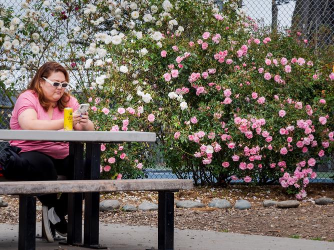 Женщина в розовой футболке на фоне розового куста