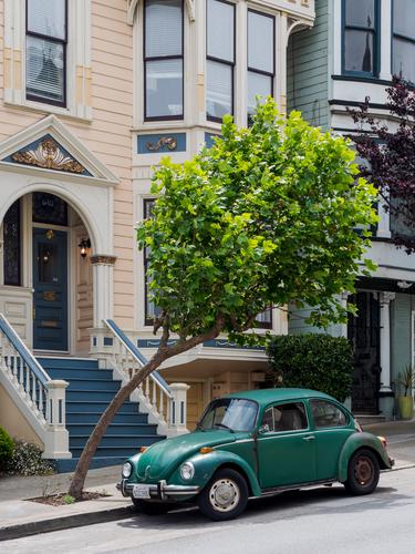 Зеленый Фольксваген Жук под деревом
